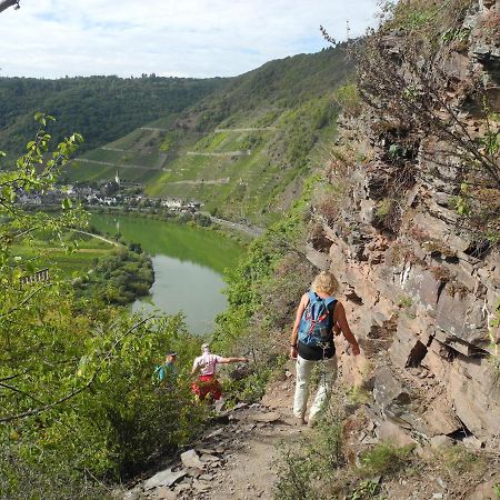 Weingut Pension Hammes-Krueger Элленц-Польтерсдорф Экстерьер фото