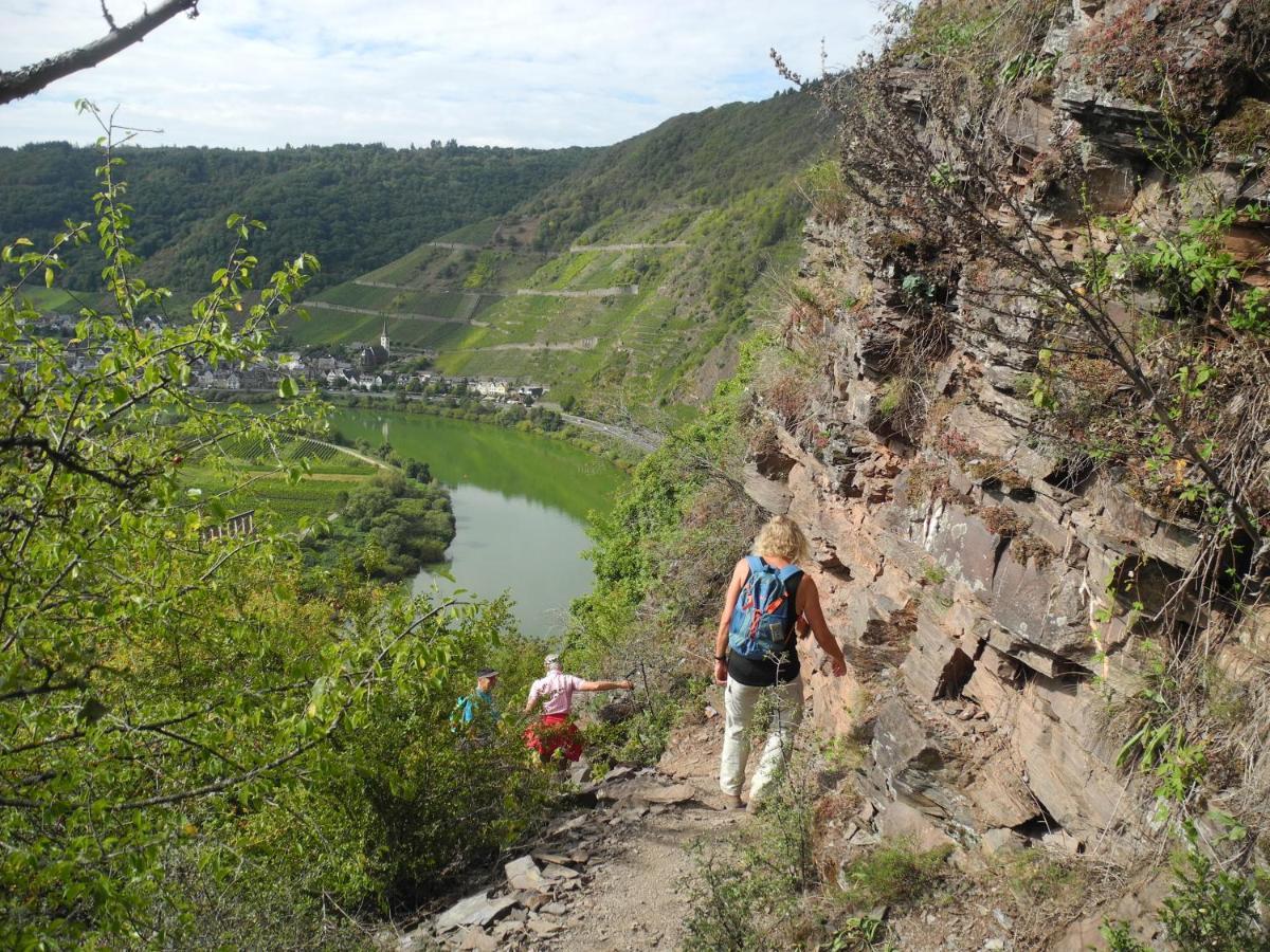Weingut Pension Hammes-Krueger Элленц-Польтерсдорф Экстерьер фото